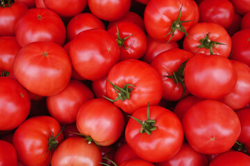 background with many quality red tomatoes