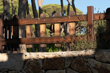 forest trees and grass. nature green wood backgrounds