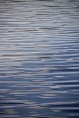 Peaceful water in the Maine River by Angers France