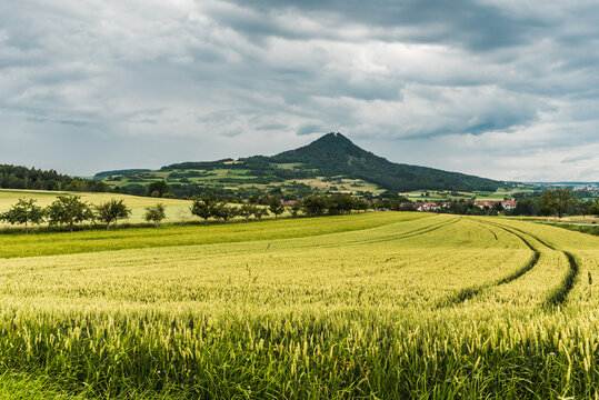 Blick &uuml;ber ein Weizenfeld zum Hegauvulkan Hohenhewen, rechts das Dorf Welschingen, Baden-W&uuml;rttemberg, Deutschland
