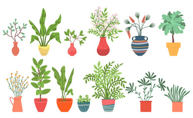 Flowers in vases, floral decor for home flat style flourishing on branches, plant with frondage, tender and elegant design, container interior. Isolated flowerpot with blooming plant . Vector in flat