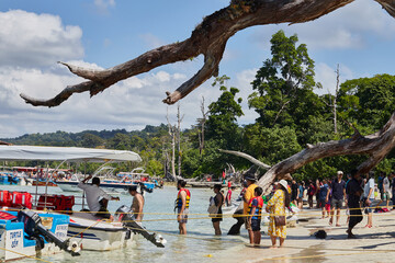 People lining up for water sports at a public beach under a dead tree alongside the beach.
