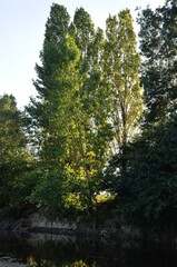 Le Louet river in Anjou