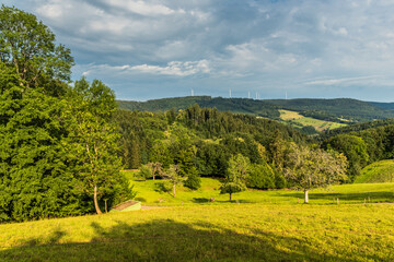 Fototapeta premium Grüne hügelige Landschaft bei Schuttertal im Schwarzwald, Ortenaukreis, Baden-Württemberg, Deutschland