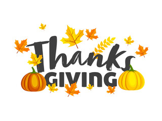 Thanksgiving Font with Pumpkins and Autumn Leaves Decorated on White Background.