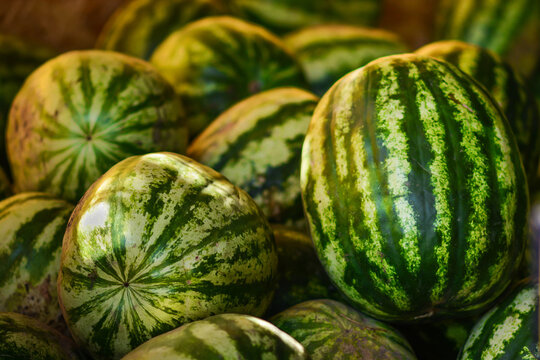 image of a bunch of watermelons on market. 