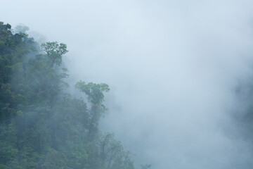 Fototapeta premium Alajuela Region, Costa Rica, Central America, America