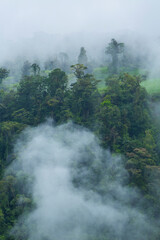 Alajuela Region, Costa Rica, Central America, America