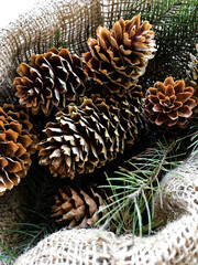 christmas decoration with cones