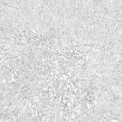 Long pile carpet contour. Abstract background with many black lines. Vector illustration