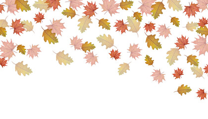 autumn sale banner with falling leaves, watercolor fall background, autumnal leaf illustration isolated on white, botanical autumn leaves frame