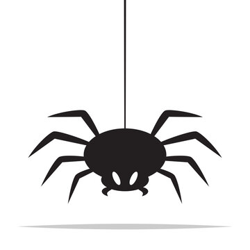Spider vector isolated illustration