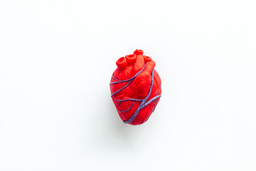 Anatomical heart. White background top view