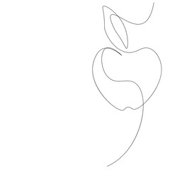 Apple fruit background vector illustration