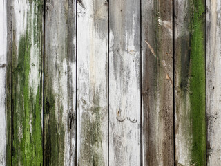 Old , rotting wooden fence