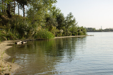 Summer green coast river view. River landscape. River shore scene