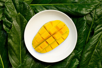 Mango on white ceramic plate on leaves background.