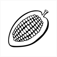 Cacao fruit with beans, hand drawn black and white illustration