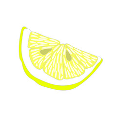 Sketch of a lemon. Doodle illustration. Vector isolated element for design. Healthy food.