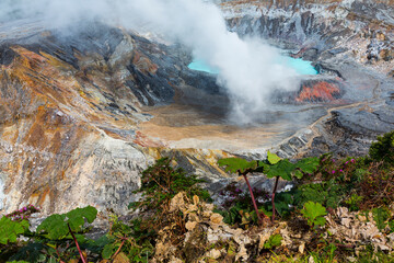 Poás Volcano National Park, Alajuela Region, Costa Rica, Central America, America