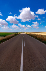 straight road with blue sky and cotton clouds