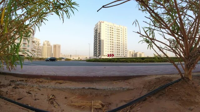 View of a roundabout from ground level framed by green bushes. Concept of urbanization. Concept of rush.