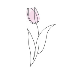 Tulip flower. Abstract minimalistic style. Vector illustration