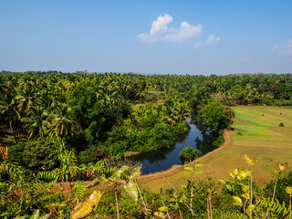 Fototapeta na wymiar Amazing view from Mirjana fort to the jungle. Gokarna, Karnataka, India.