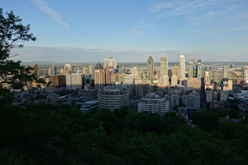 Fototapeta na wymiar The aerial view of the skyscrapers in the city from the top of Mount Royal