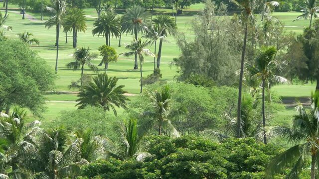 Time lapse video of tropical golf field in 4k