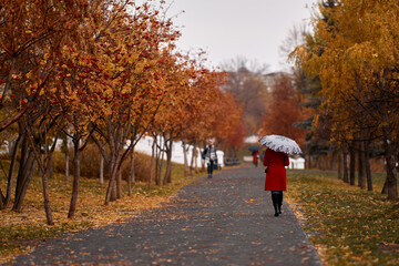 Fototapeta na wymiar Alley in autumn park with red rowan trees. A woman in a red coat and an umbrella walks along the autumn alley.