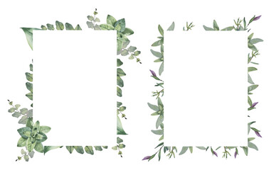 Watercolor hand drawn frame with green leaves and herbs.