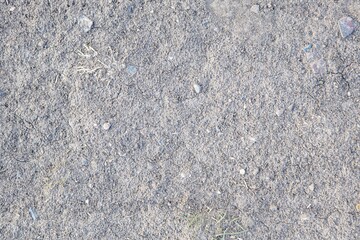 background and texture of the surface of the ground. Forest trodden path.
