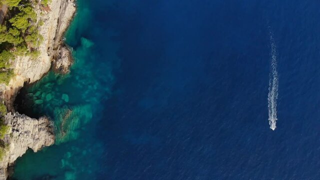 Aerial view by the rocky coas Adriatic sea t in Montenegro. Large trees, pines in the foreground. In the background you can see the bay with the city.
