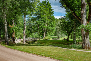 View of a old park full of trees with bridges during summer.