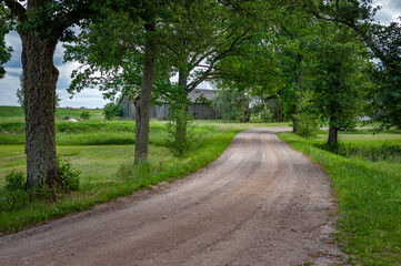 Fototapeta na wymiar Rural road leading through the fields. Gravel path street with green trees in summer. A driveway in rural countryside.
