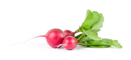 Radish on white background. Fresh ripe vegetables