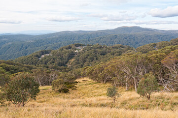 Fototapeta na wymiar View of the Victorian Alps from Mt Buller in autumn - Mt Buller, Victoria, Australia