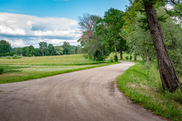 Fototapeta na wymiar Rural road leading through the fields. Gravel path street with green trees in summer. A driveway in rural countryside.