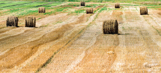 Straw bales on farmland with blue cloudy sky