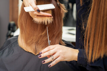 Fototapeta premium Hairdresser cuts red hair tips holding lock of red hair between fingers in beauty salon. Getting rid of split ends