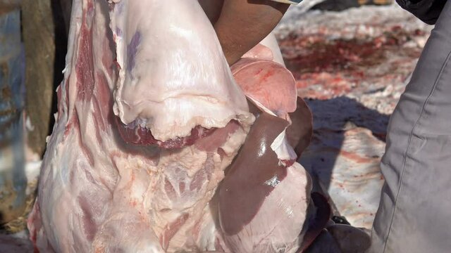 Pig slaughter in contryside chopping meat, butcher