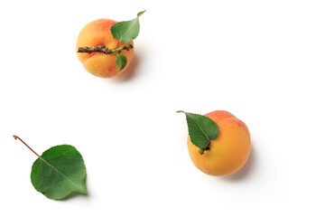 Ripe apricots with green leaves on a white background