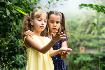 Obraz premium Two little sisters holding a butterfly in their hands. Children exploring nature. Family leisure with kids at summer.