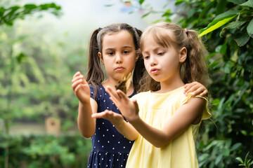 Obraz premium two little girls with butterflies in a greenhouse