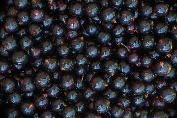 delicious fresh berries in a plate