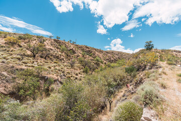 Mountainous landscape with vegetation in southern Spain