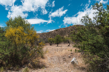Mountainous landscape with vegetation in southern Spain