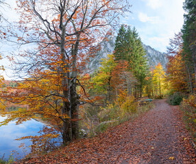 Obraz premium beautiful walkway along lake Laudachsee, Grunberg mountain, autumnal landscape austria