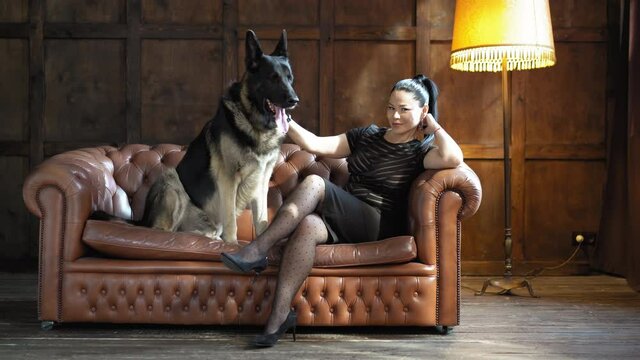 Girl sits with a German Shepherd on the couch. Owner with a dog in photo studio. Woman strokes dog. High quality 4k footage.